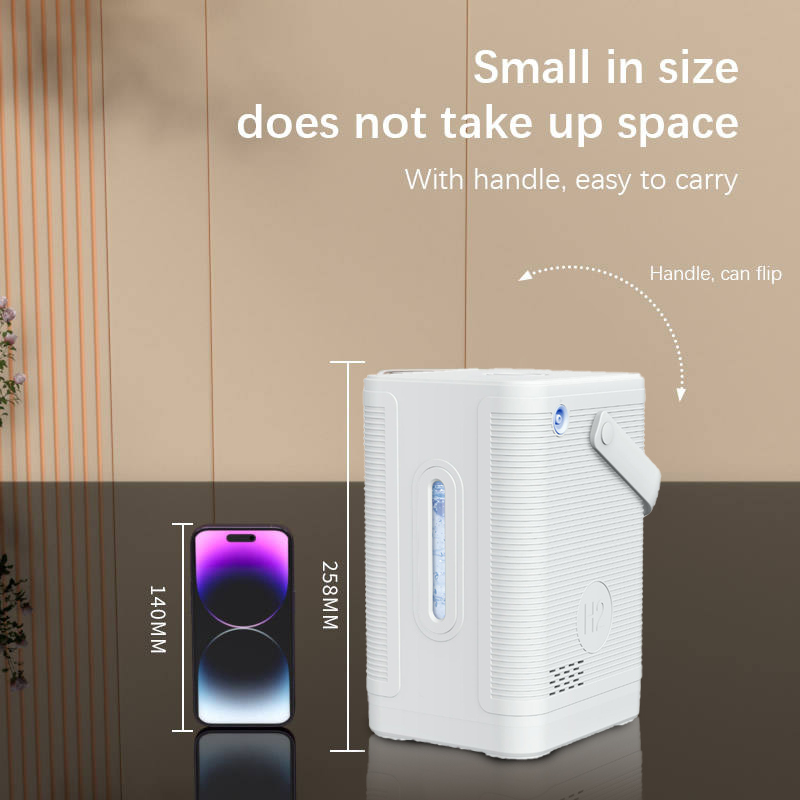 Dropshipping SPE PEM Hydrogen  - đánh giá và giá Health Wellness Home Care