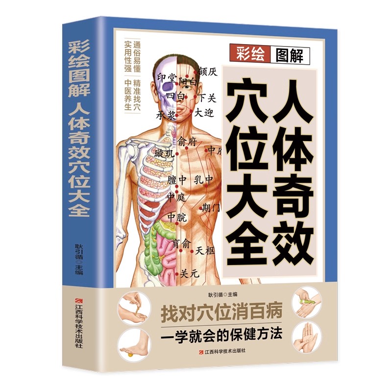 Complete Guide to Acupoint Mas - đánh giá và giá Health & Wellness Therapy Center