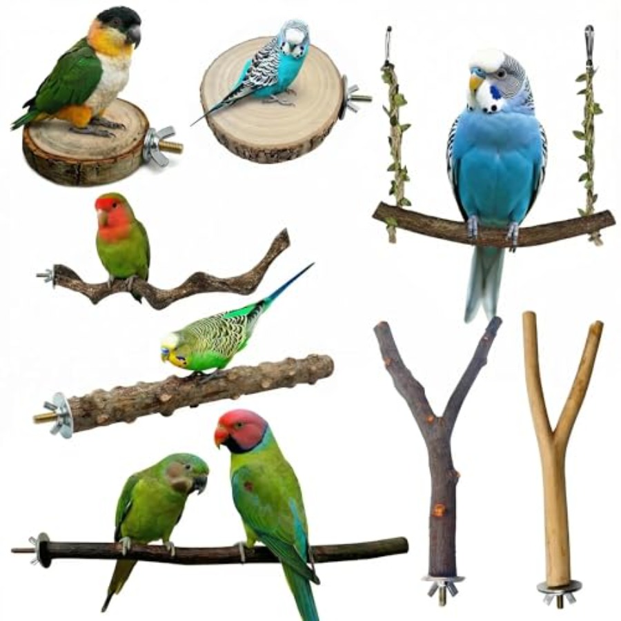 8PCS natural wood bird perches - đánh giá và giá Health & Wellness Therapy Center