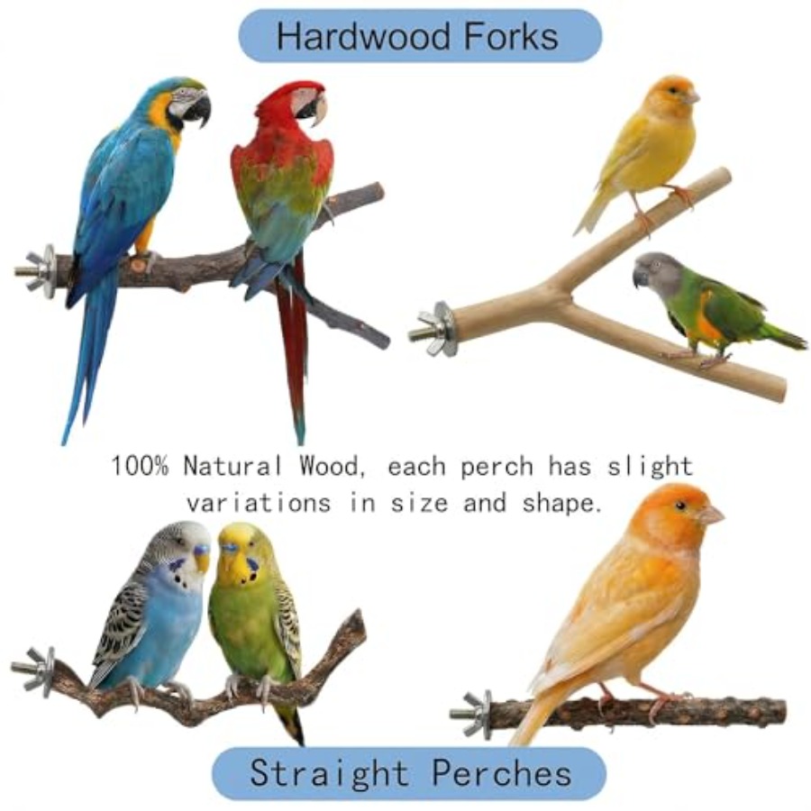 8PCS natural wood bird perches - đánh giá và giá Health & Wellness Therapy Center
