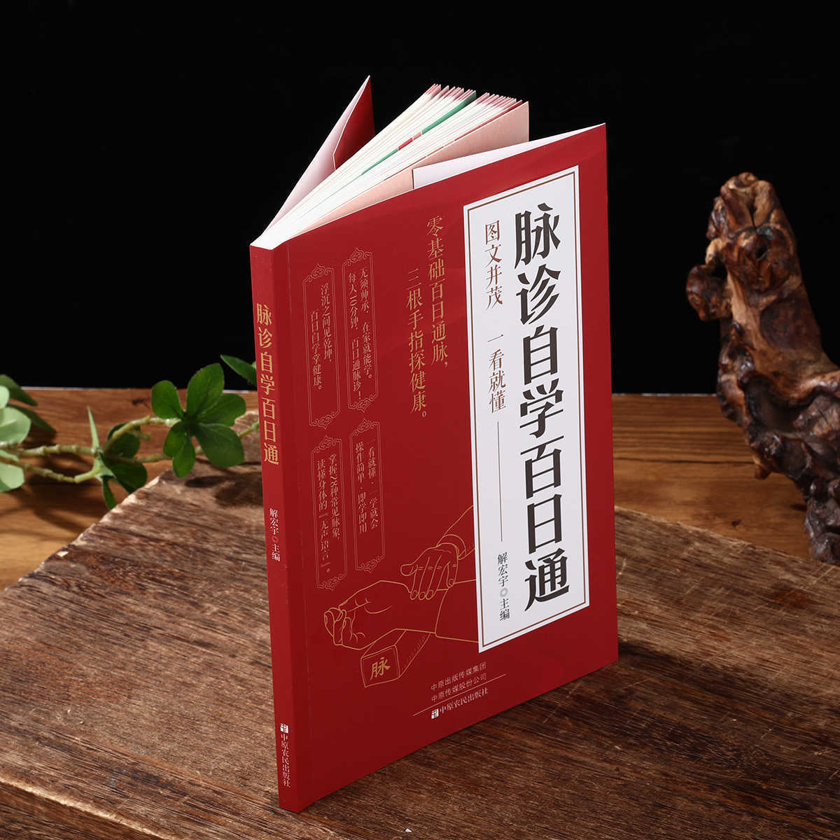 Pulse Diagnosis Self Study Hun - đánh giá và giá Health & Wellness Therapy Center